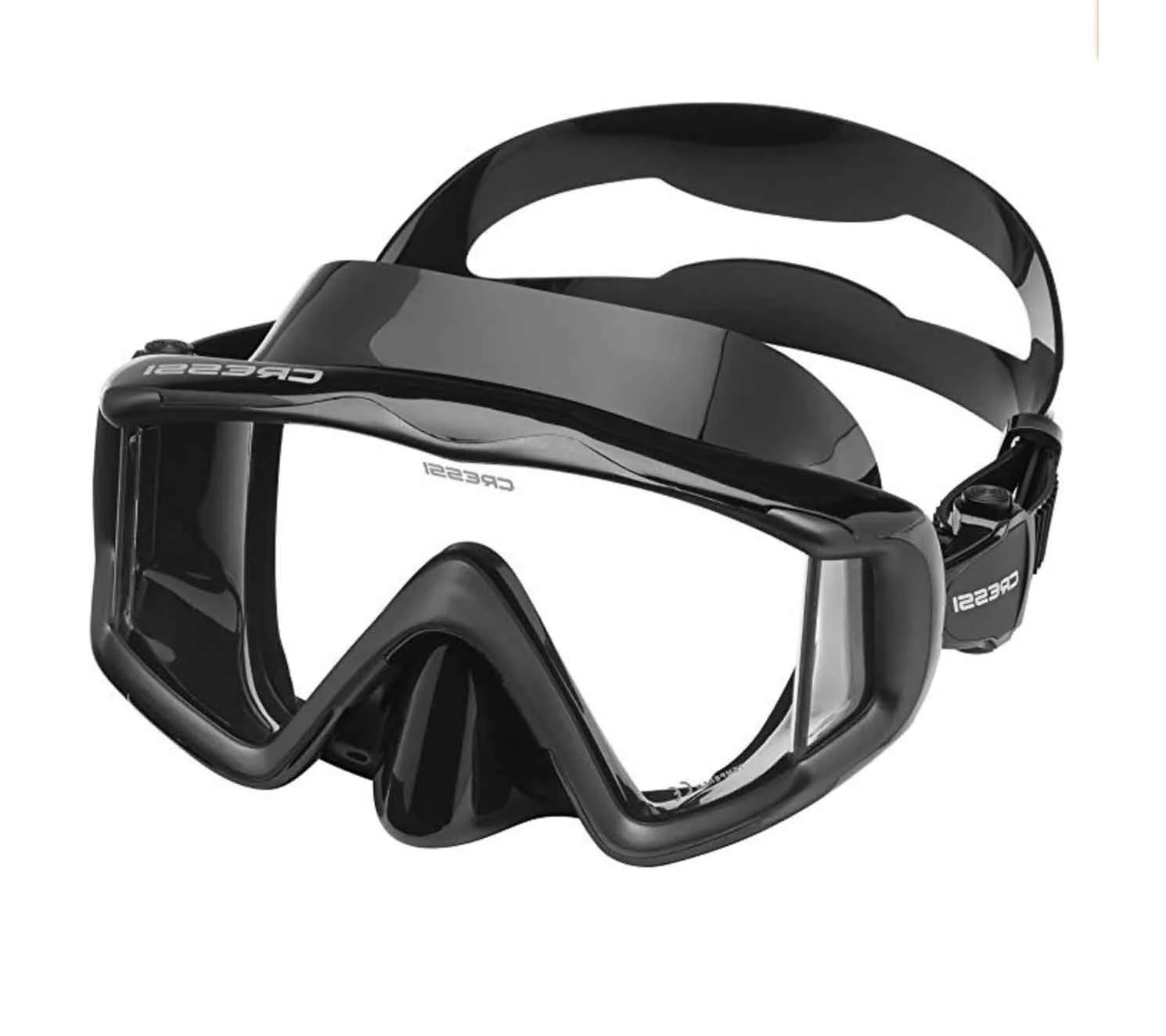 Multi Lens Snorkel Mask