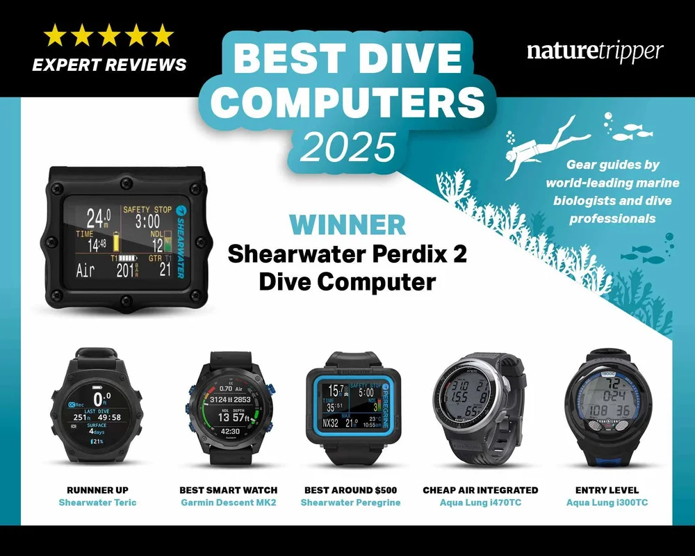 Best Dive BCDs for 2025 [UPDATED]