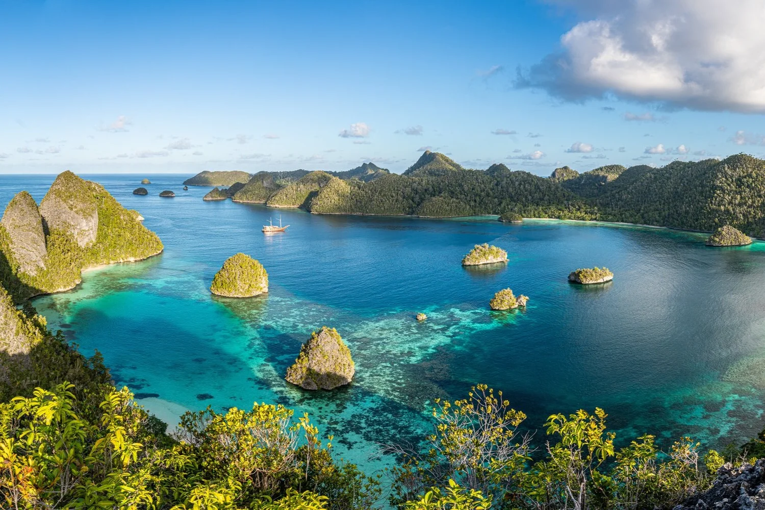 The Ultimate Insider's Guide to Diving Raja Ampat, Indonesia