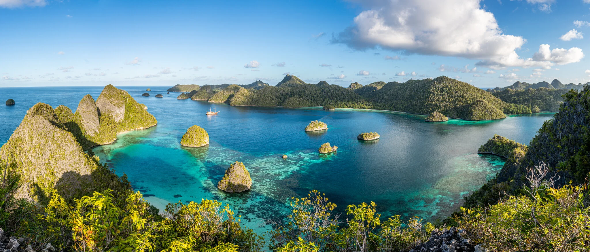 Diving Raja Ampat – A Marine Biologist's Guide to the best Diving Experience in the Coral Triangle