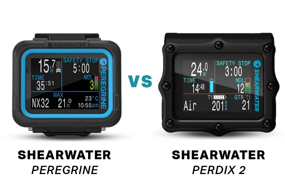 Peregrine vs Perdix 2