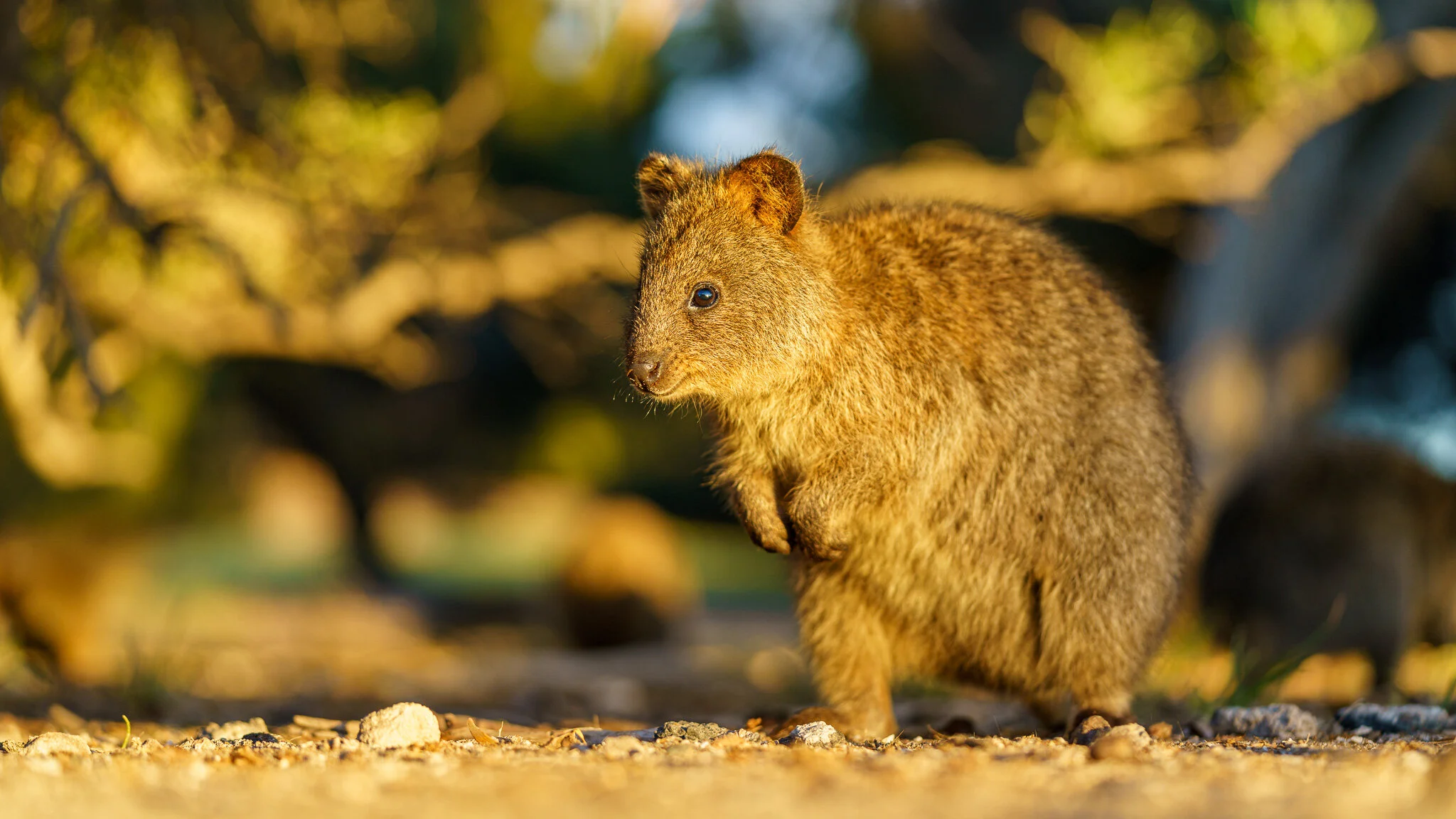 Sample Photos from the Sony FE 90 mm f/2.8 G Macro Lens