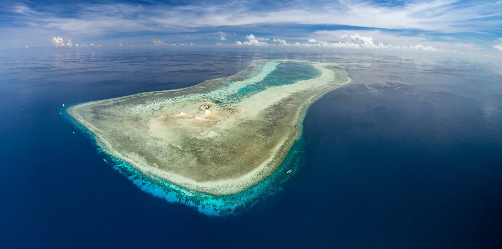 Tubbataha Reefs: a Conservation Success Story for Sharks