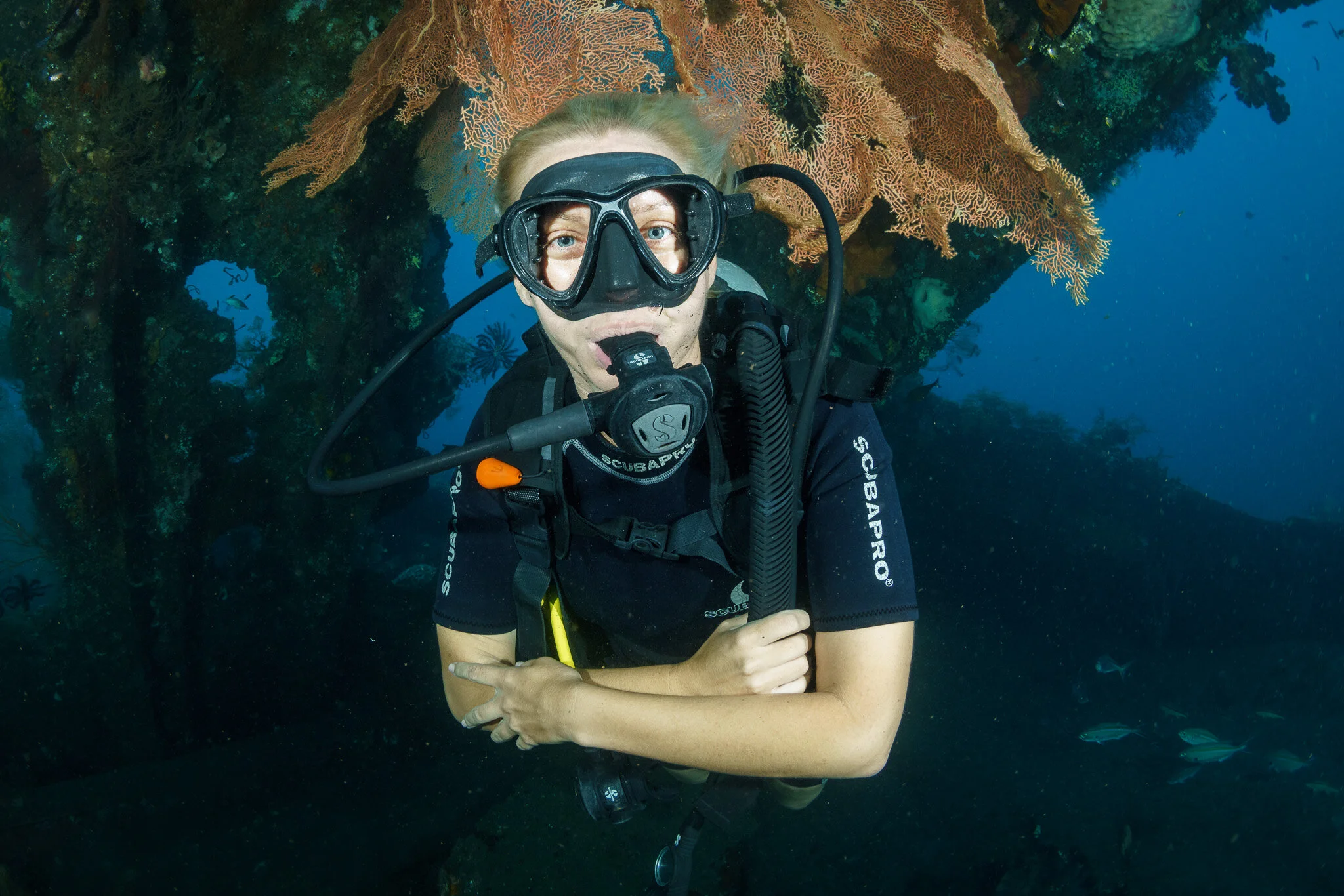 Diver at Liberty Wreck