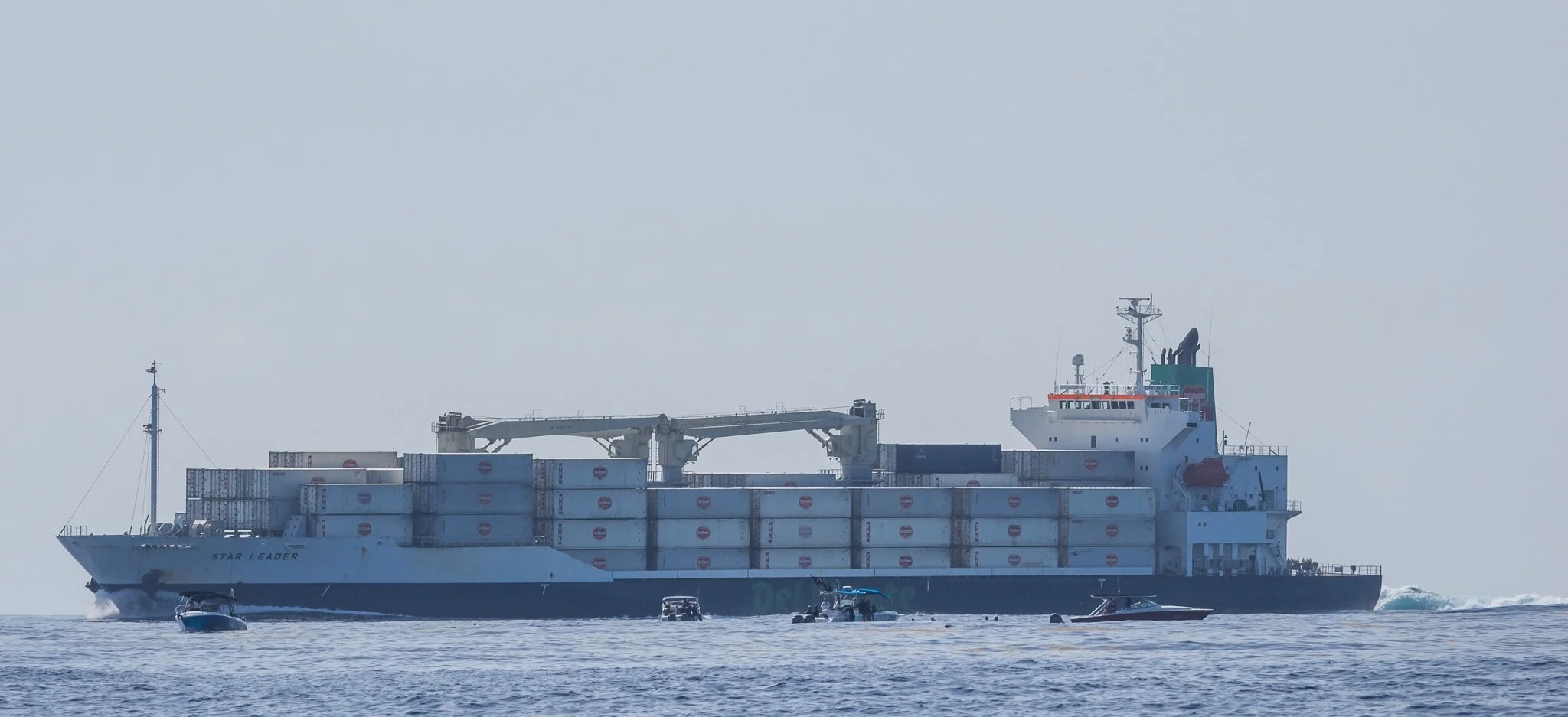 Container ship in whale shark area